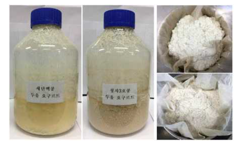 The photograph of soybean lactic acid fermentative processing.