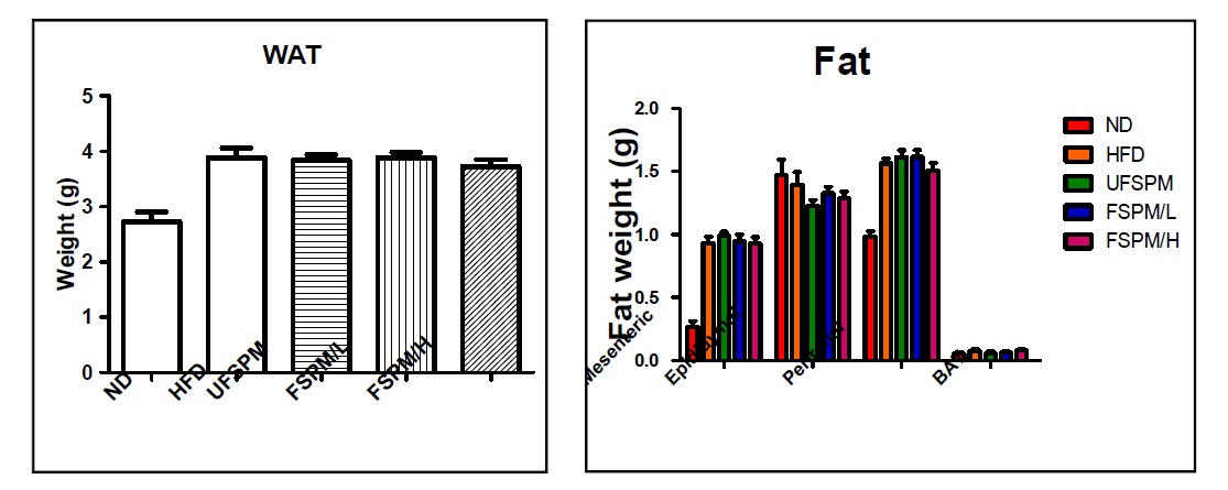 The white adipose tissue (WAT) and fat weight comparison of each experimental group.