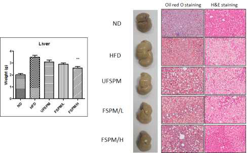 Changes in liver for mice fed the experimental diets for 13 weeks.
