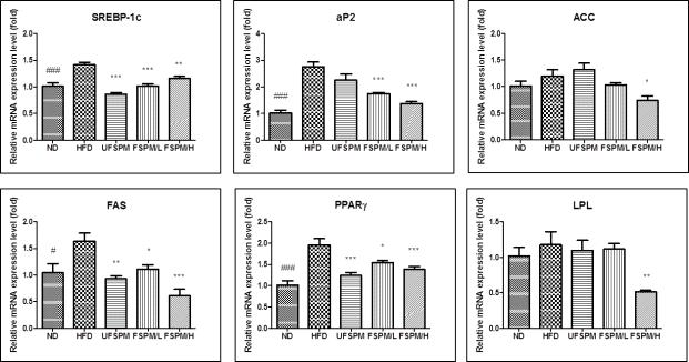 Changes in gene expressions for mice fed the experimental diets for 13 weeks.