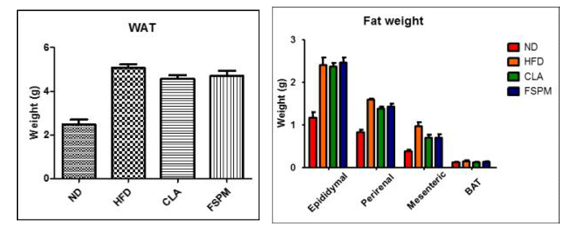 The white adipose tissue (WAT) and fat weight comparison of each experimental group. BAT, brown adipose tissue.