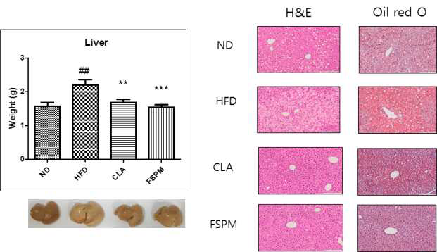 Changes in liver for mice fed the experimental diets for 12 weeks.