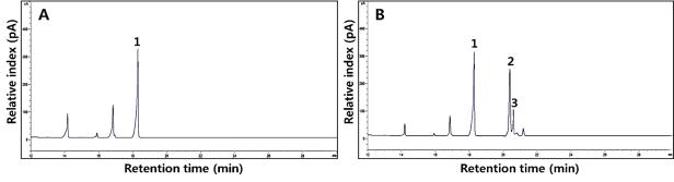 GC chromatogram of linoleic acid and conjugated linoleic acid isomers in the SPM and SPY with Lac. plantarum P1201 and Lac. brevis WCP02 by treatment of 5% kiwi juice.