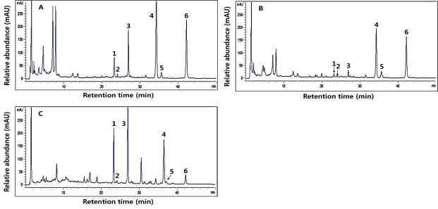 HPLC chromatogram of six isoflavone derivatives in fermented and roasted soybeans.