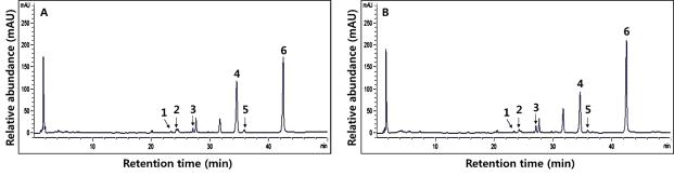 HPLC chromatogram of six isoflavone derivatives in soy-yogurt
