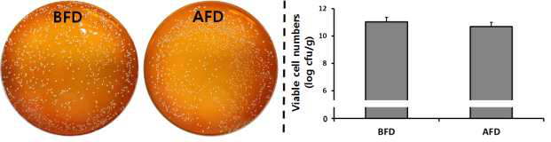 Comparison of viable cell numbers in soy-powder yogurt by before freeze dry (BFD) and after freeze dry (AFD).