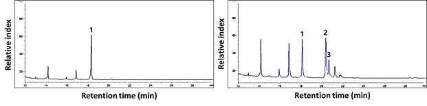 GC chromatograms of linoleic acid and conjugated linoleic acid isomers in the UFSPM (A) and FSPM (B) of soy-powder with Lactobacillus plantarum P1201. 1. linoleic acid, 2. cis-9, trans-10 CLA isomer, and 3. trans-10, cis-12 CLA isomer.