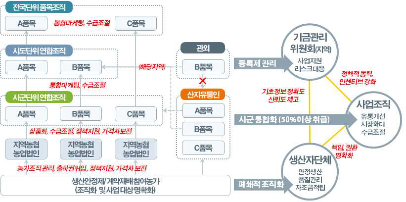 조직화 틀의 확장과 연계