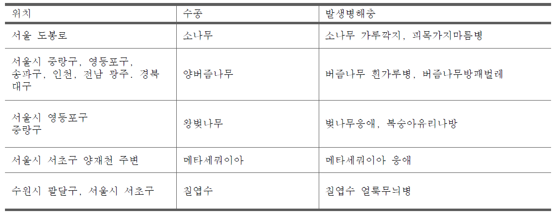 도심 가로수 병해충 현장 조사 내역