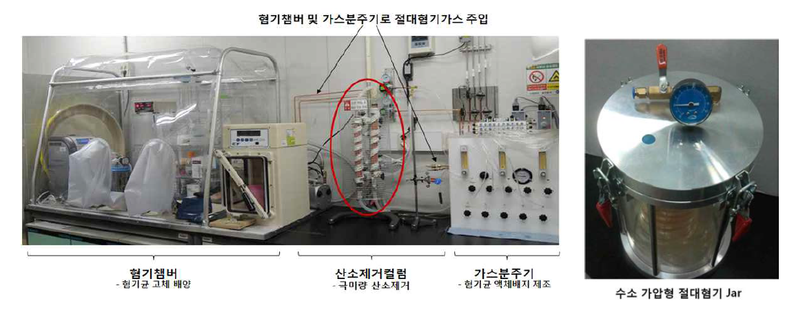 한국생명공학연구원 미생물자원센터에 구축된 메탄균 배양 시스템