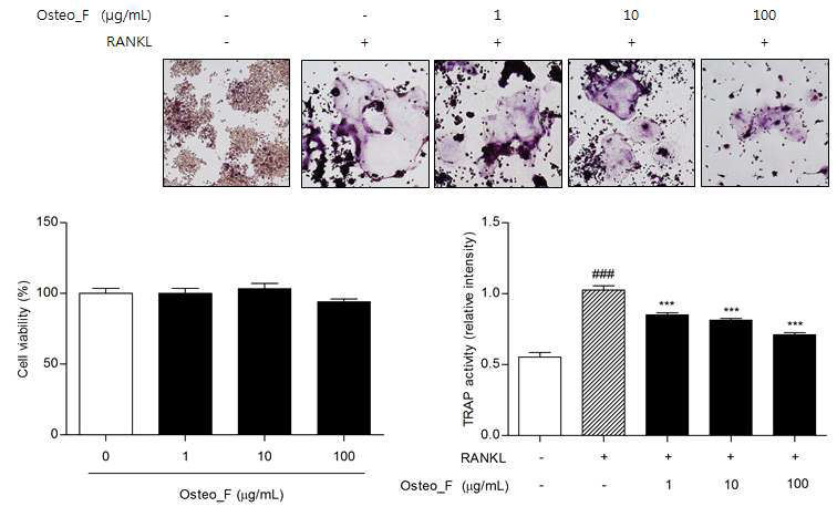 Cell viability (%) and osteoclast differentiation of Raw 264.7 cells