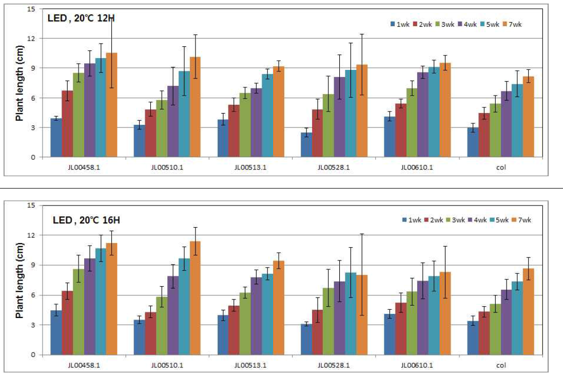 LED 처리 조건에서 온도&시간 차이에 따른 애기장대 초장의 변화 양상