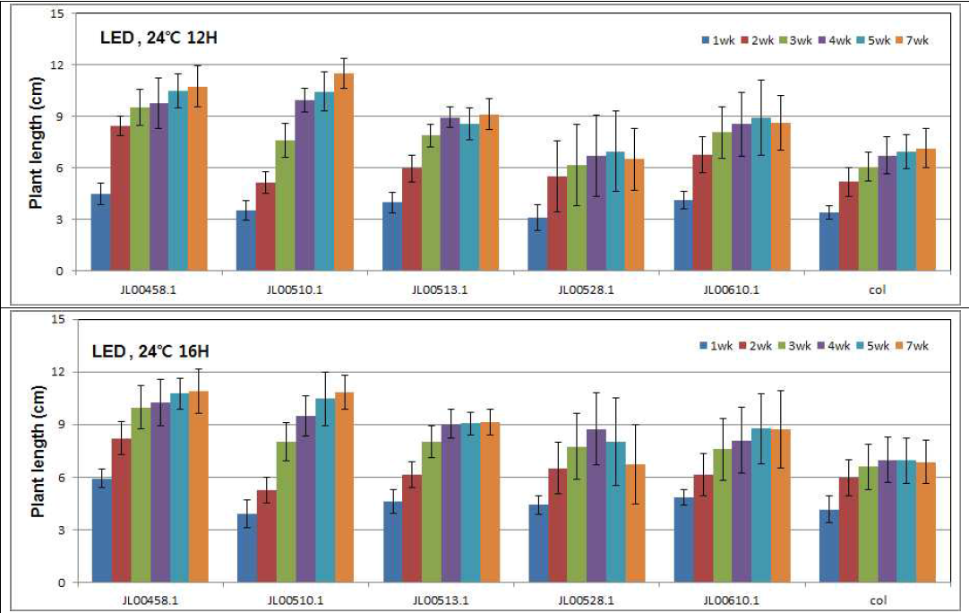 LED 처리 조건에서 온도&시간 차이에 따른 애기장대 초장의 변화 양상