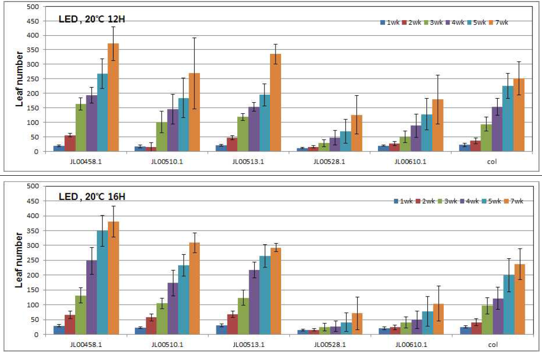 LED 처리 조건에서 온도&시간 차이에 따른 애기장대 엽수의 변화 양상