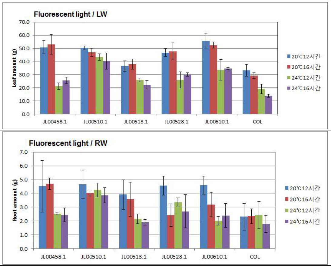 온도 & 시간별 엽중의 변화양상(형광등 처리_정식 7주후)