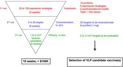 VLPExpressTM 플랫폼 시스템 모식도