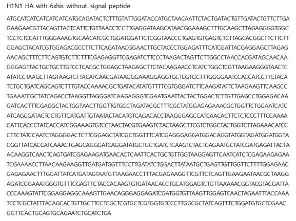 신호 펩티드를 제거한 HA 유전자를 애기장대의 codon에 맞춰 optimization 시 킨 염기서열