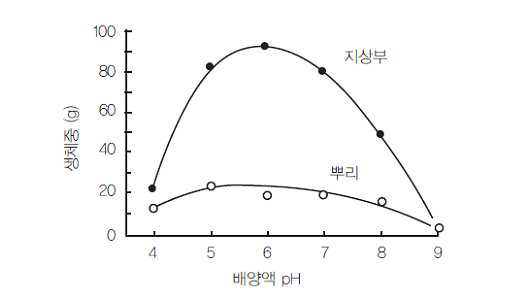 토마토의 생장과 배양액 pH와의 관계