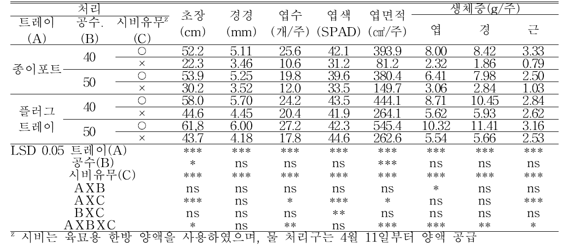 ‘청양’ 고추묘의 생육(파종 후 52일)