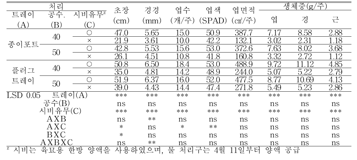 ‘대권선언’ 고추묘의 생육(파종 후 52일)