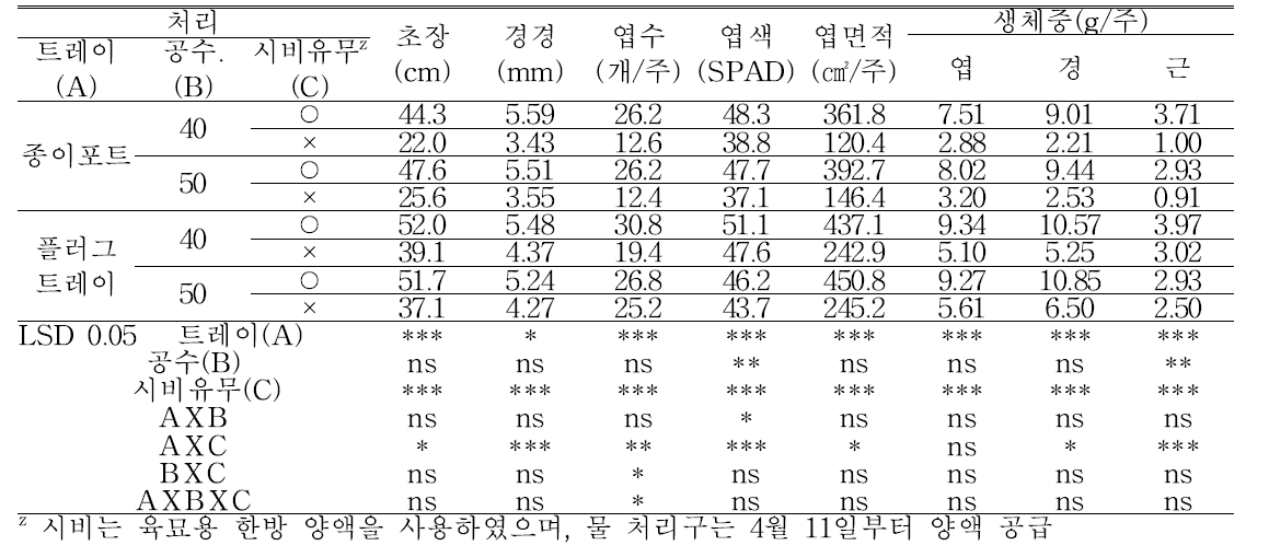 ‘롱그린맛’ 고추묘의 생육(파종 후 52일)