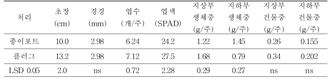 파종 후 93일 후의 ‘대권선언’고추묘의 생육(5.26)