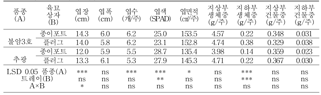 파종 27일 후의 배추 묘의 생육