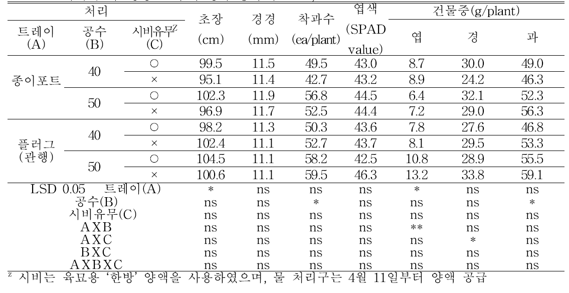 노지재배 시 ‘청양’ 고추의 생육(정식 후 74일, 8.8)