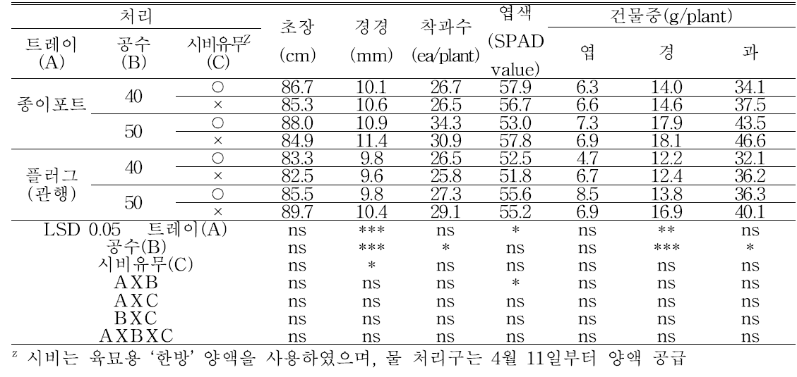 노지재배 시 ‘대권선언’ 고추의 생육(정식 후 74일, 8.8)