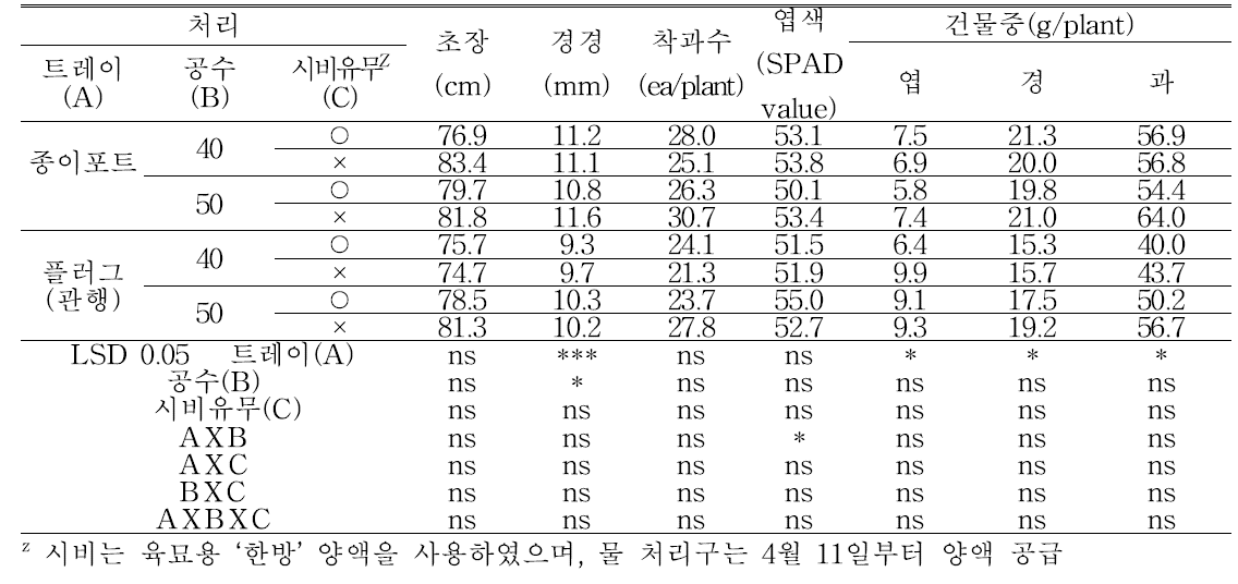 노지재배 시 ‘롱그린맛’ 고추의 생육(정식 후 74일, 8.8)