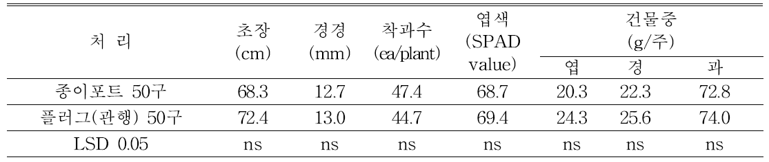 노지재배(영양) 시 ‘대권선언’ 고추의 생육(정식 후 99일, 9.2)