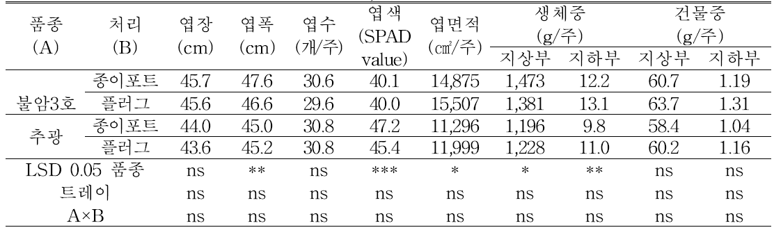 가을 배추 정식 후 생육(정식 후 30일, 10.6)