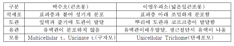 백수오 기원식물 및 유사식물 내부형태적 비교