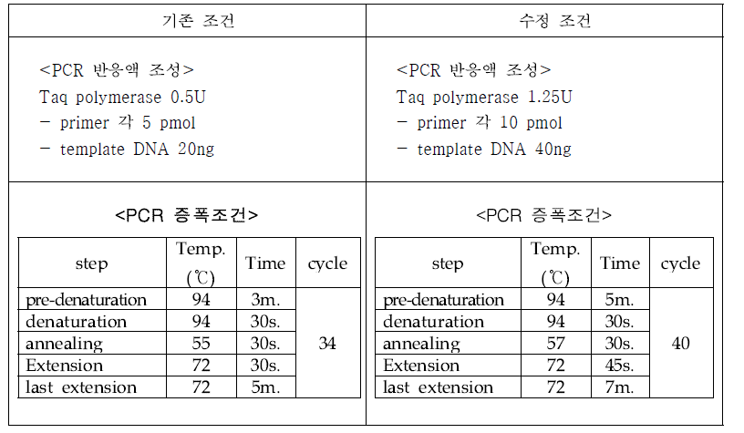 PCR 증폭 수정조건