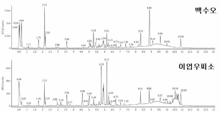 백수오(큰조롱) 및 이엽우피소의 대사체 분석 크로마토그램