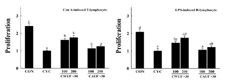 Effects of C. wilfordii and C. auriculatum on splenic lymphocyte proliferation in cyclophosphamide (CYC)-induced mice. (A) Con A-induced T-lymphocyte or (B) LPS-induced B-lymphocyte proliferation