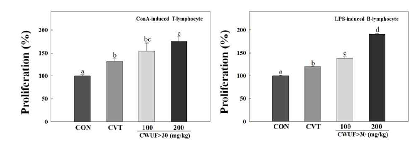 Effect of orally administered C. wilfordii on (A) Con A-induced T-lymphocyte or (B) LPS-induced B-lymphocyte proliferation in normal mice.