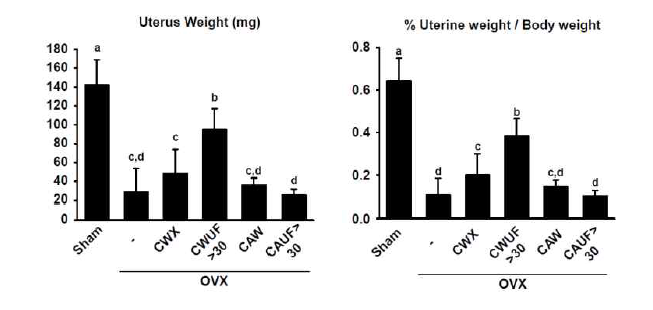 Uterus weight(left) and % uterus weight/body weight(right) of CWX and CAW-treated OVX mice.