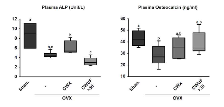 Plasma ALP (left) and osteocalcin (right) levels in CWX and CAX treated mice in ovariectomized model.