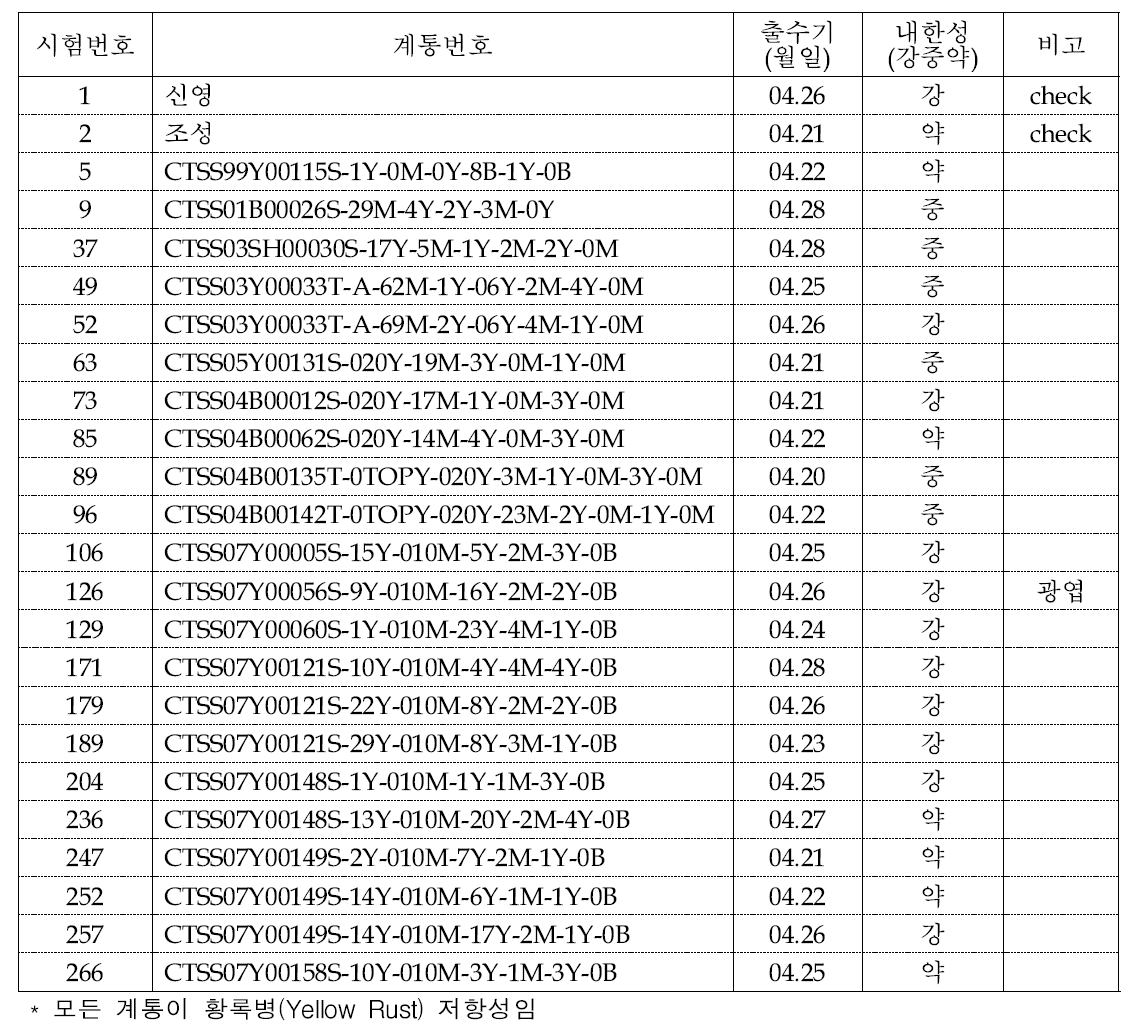 국내 생산력검정시험에 파종된 CIMMYT 도입 우량 계통