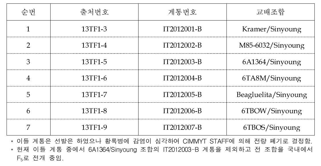 트라이티케일 계통 및 교배조합