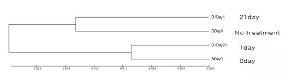 UPGMA dendrogram(비멸균 토양)