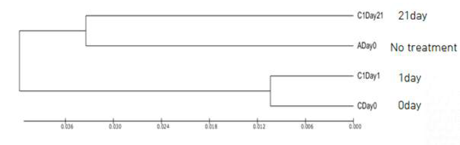 UPGMA dendrogram(멸균 토양)