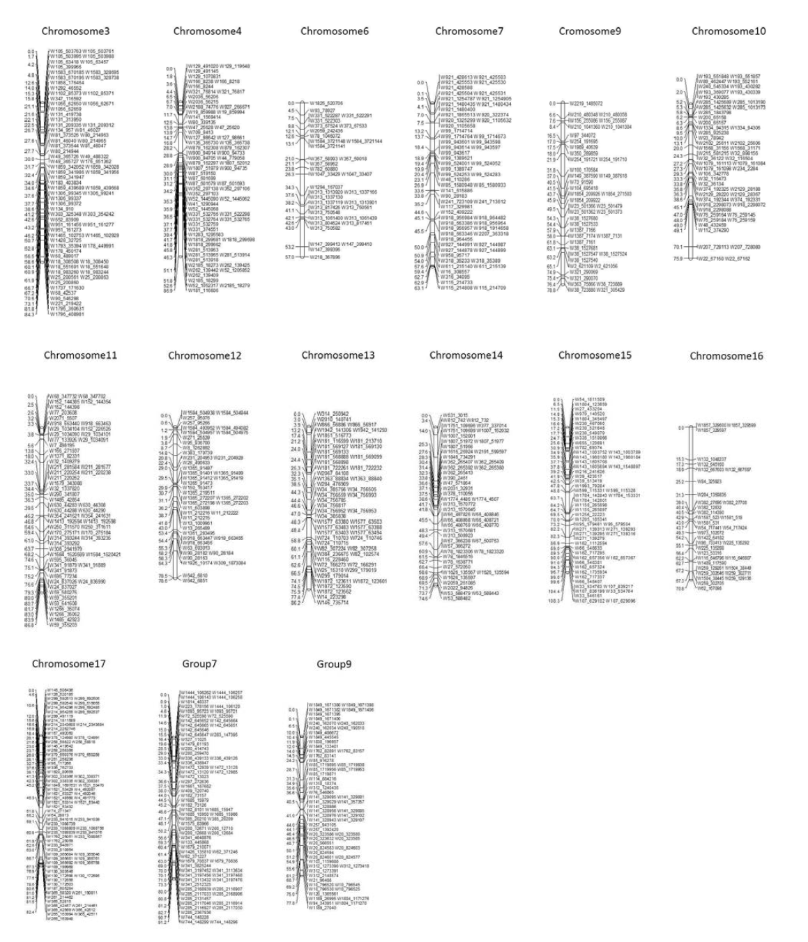 Shinko × P019R045T042 의 physical map