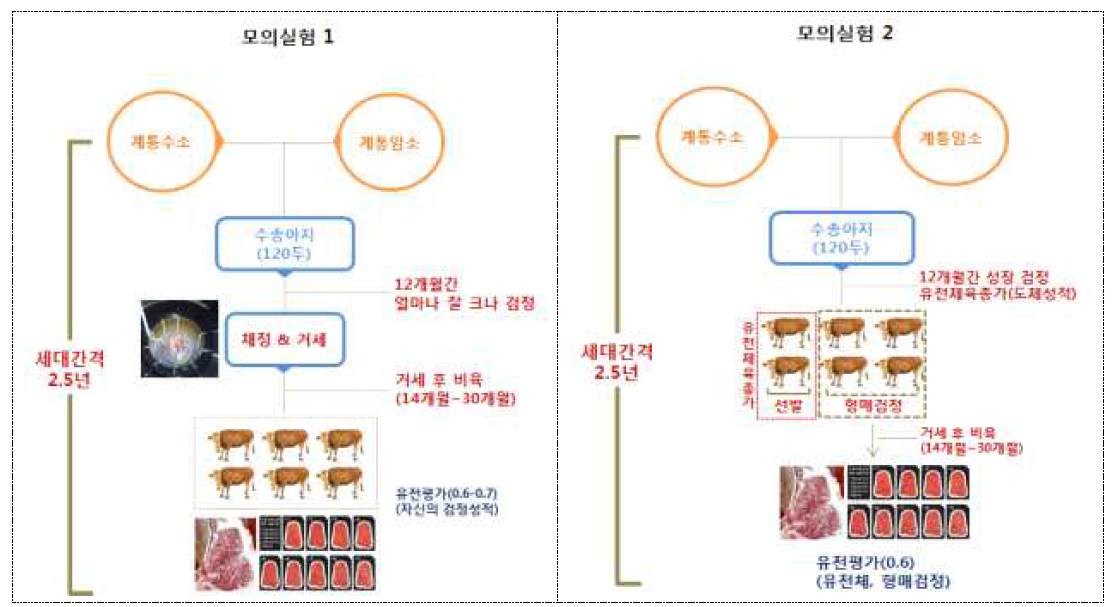 육종가 정확도 분석을 위한 모의시험 결과