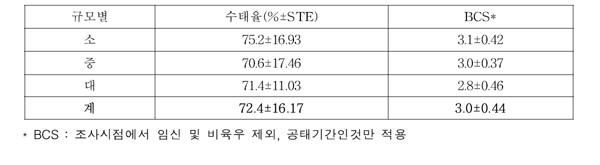 사육규모별 수태율 및 BCS