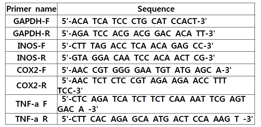 RT-PCR에 사용된 primer