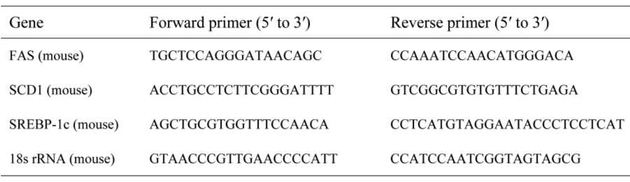 Quantitative Real-Time RT-PCR에 사용된 primer