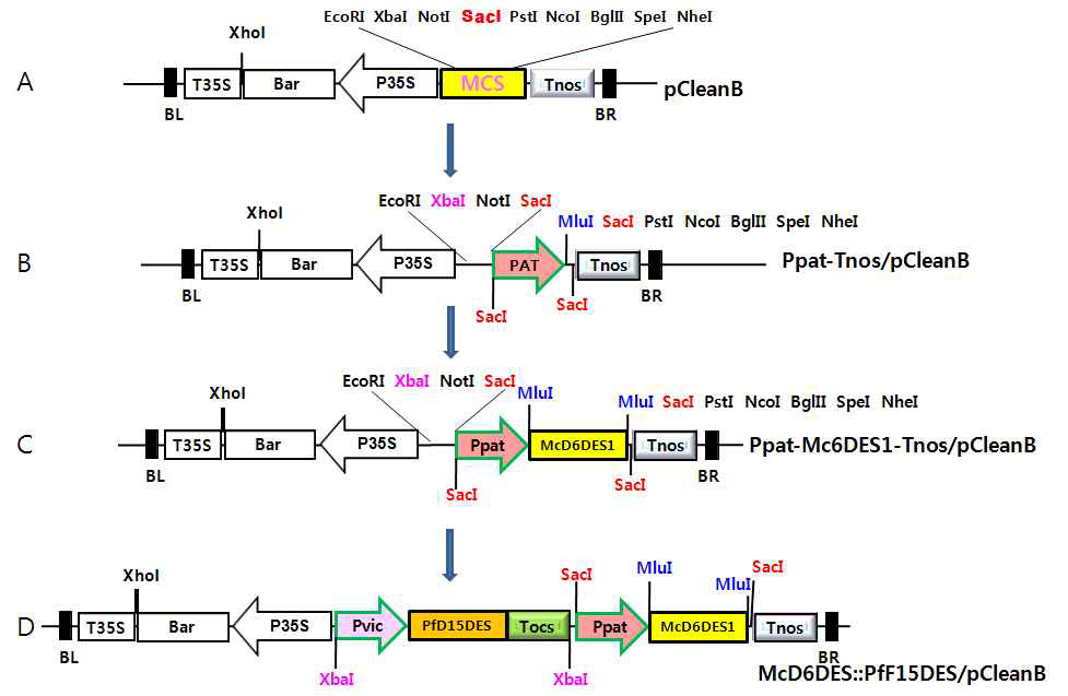 McD6DES1::PfD15DES/pClean 운반체 제작 및 구조