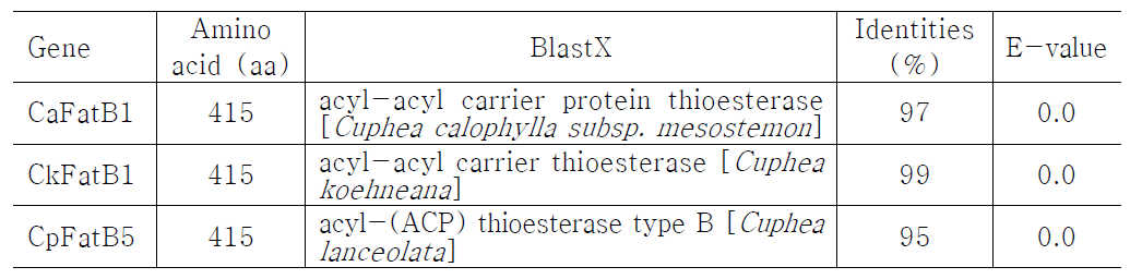 Cuphea 속 유래 3종의 FatB 유전자의 유전정보